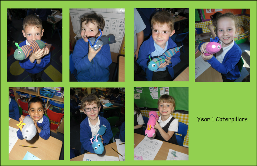 caterpillars